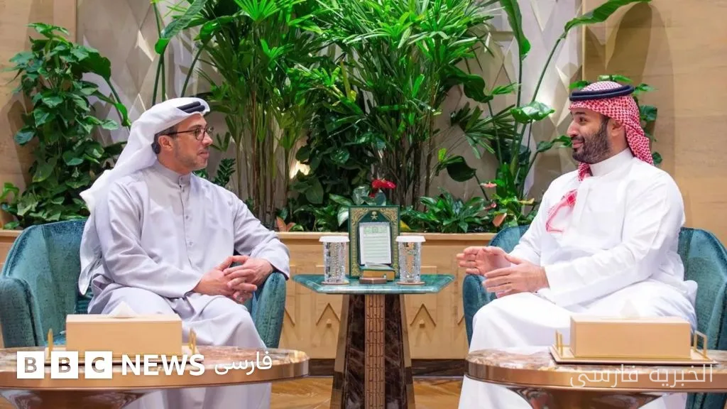 دیدار شیخ منصور بن زاید با محمد بن سلمان در عربستان